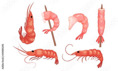Shrimps cooked in different ways. Vector illustration on a white background.