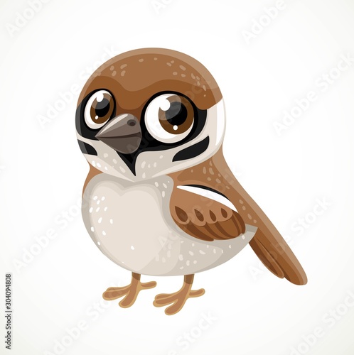 Cute cartoon sparrow isolated on white background