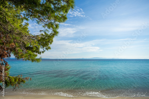 Beautiful peaceful sea landscape. Branches of green tree  blue sky with white clouds  sea water and sandy beach. Horizontal color photography.