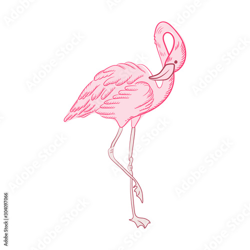 Beautiful pink flamingo bird flat color icon - vector image © t_dalton