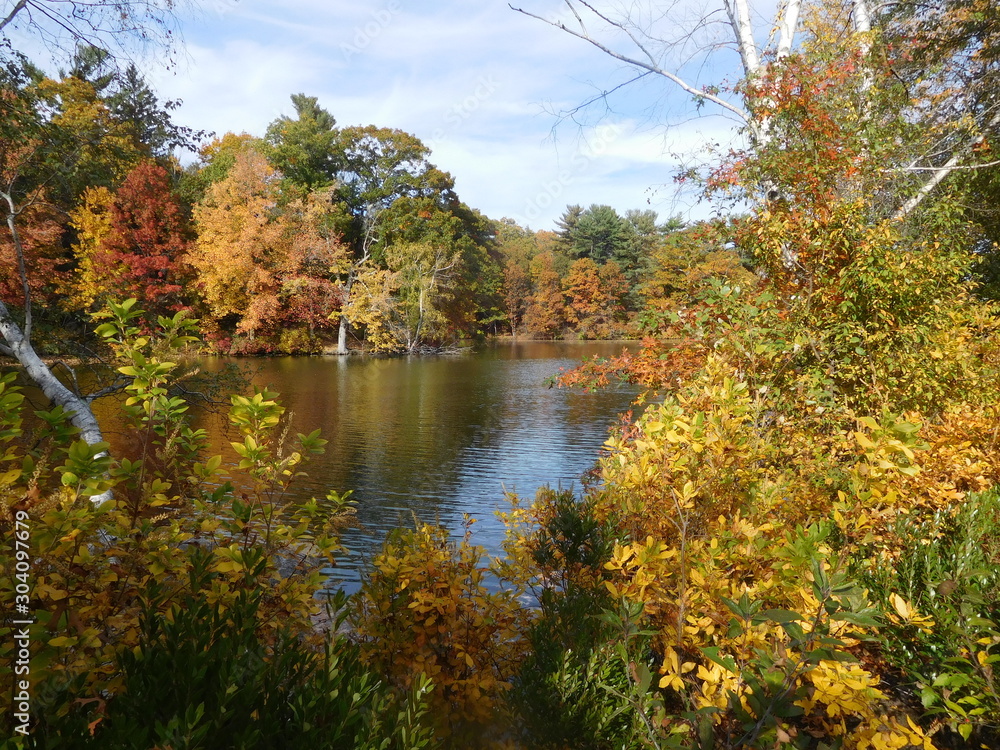 autumn landscape with lake and trees autumn landscape with lake and trees