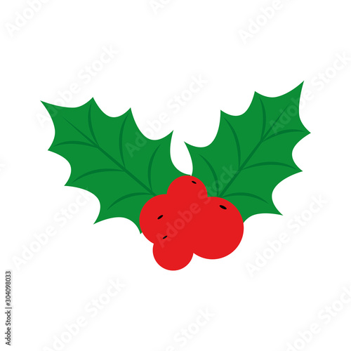 leafs with seeds decoration christmas isolated icon vector illustration design