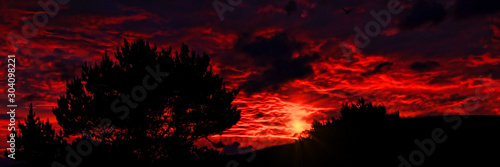 Canvas Print A tree silhouetted against a red sky at sunset