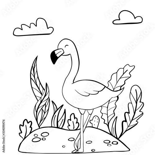  vector illustration of a black and white drawing flamingo coloring book