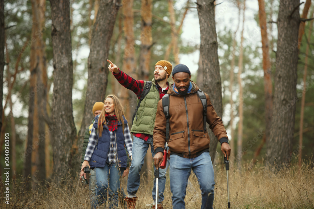 Group of friends on a camping or hiking trip in autumn day. Men and women with touristic backpacks going throught the forest, talking, laughting. Leisure activity, friendship, weekend. Group of friends on a camping or hiking trip in autumn day. Men and women with touristic backpacks going throught the forest, talking, laughting. Leisure activity, friendship, weekend.