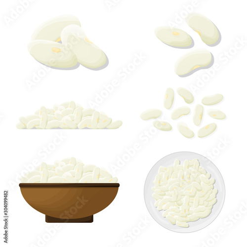 Navy beans set illustration. Vector.