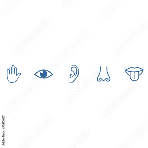 five sense icon vector design symbol