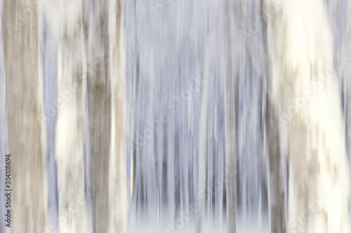 Motion blur dreamy forest in winter with snow