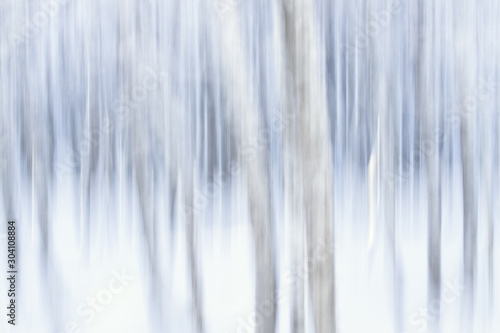 Motion blur dreamy forest in winter with snow