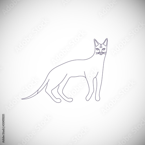 Cute character line style of cat. Icon of abyssinian breed for different design. 