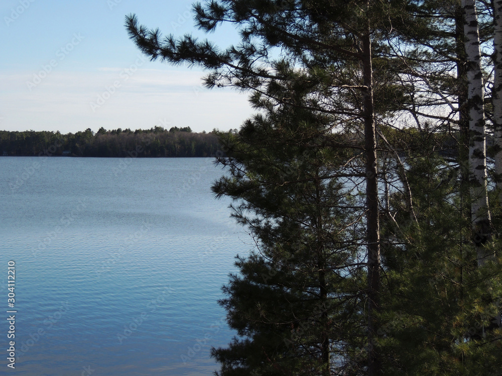 Lake and Trees Lake and Trees