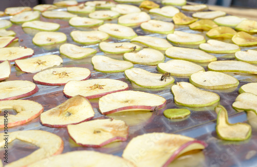 the process of drying apples and pears. harvesting of dried fruits for the winter