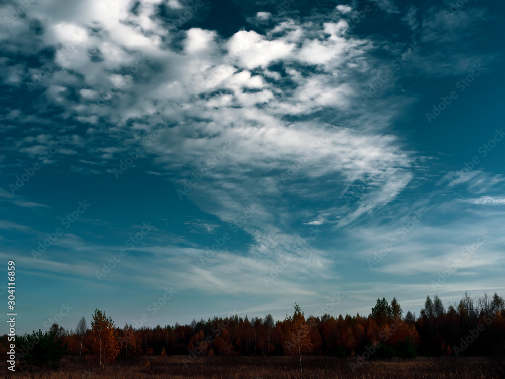 Silhouettes of trees against the background of beautiful white clouds on a clear blue sky. Silhouettes of trees against the background of beautiful white clouds on a clear blue sky.