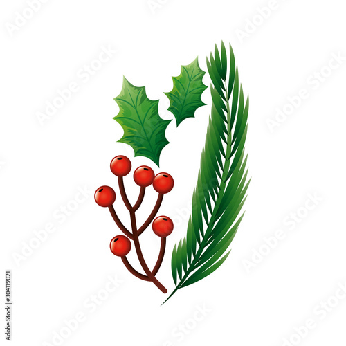 branches with holly fruits christmas and tropical leafs vector illustration design