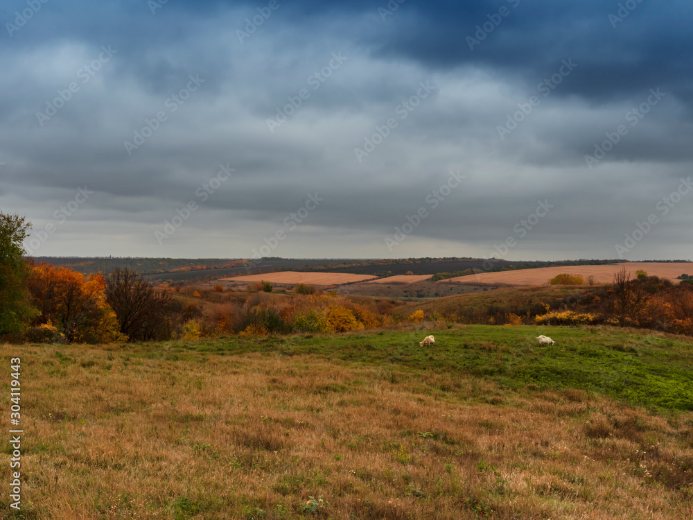 Obraz premium Autumn rural landscape. Low cumulus clouds before the rain. Trees and shrub with beautiful autumn foliage. Selective focus.