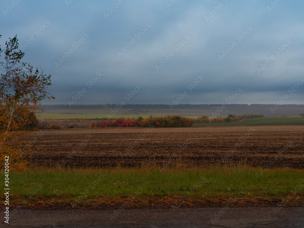 Autumn rural landscape. Bright autumn vegetation. The sky before the rain with low clouds.