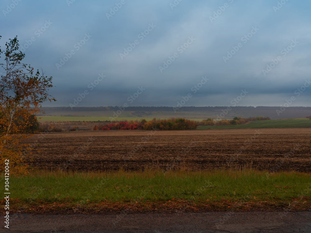 Autumn rural landscape. Bright autumn vegetation. The sky before the rain with low clouds. Autumn rural landscape. Bright autumn vegetation. The sky before the rain with low clouds.