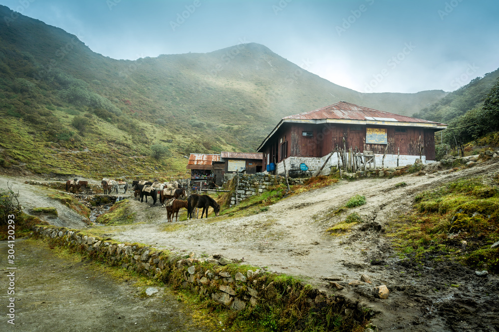 Dzongri Campsite, Sikkim, India