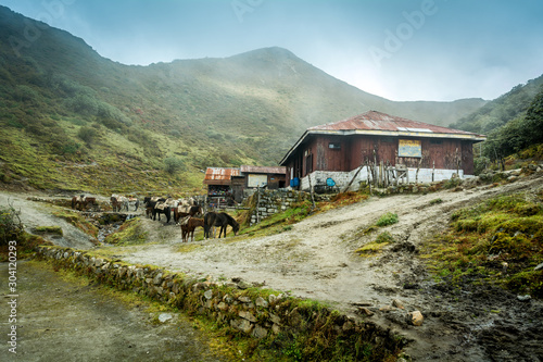 Dzongri Campsite, Sikkim, India photo