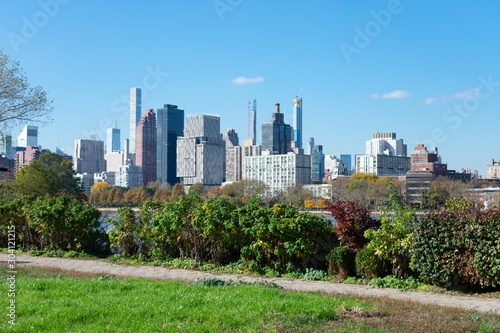 Shoreline of Astoria Queens New York with Plants looking towards the East River and the Manhattan and Roosevelt Island Skyline in the background