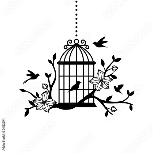 hand drawn wedding birdcage collections