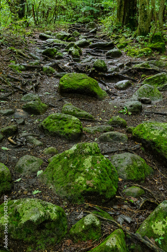 rocky trail 