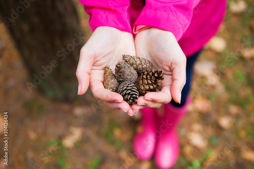 girl in pink raincoat and rubber boots holds fir cones in her hands