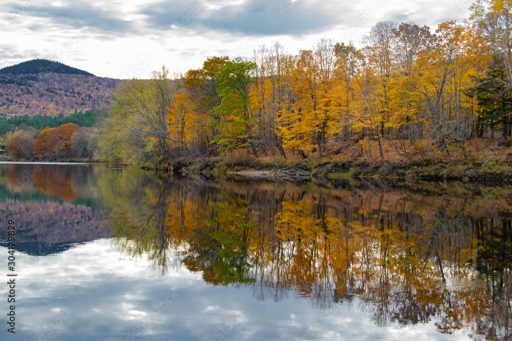 A Line of Reflections