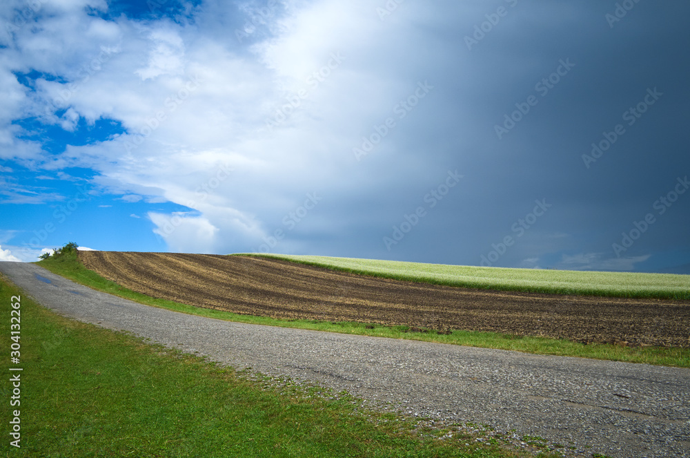 Striped agriculture field against cloudy blue sky. Abstract nature landscape. Ukraine.