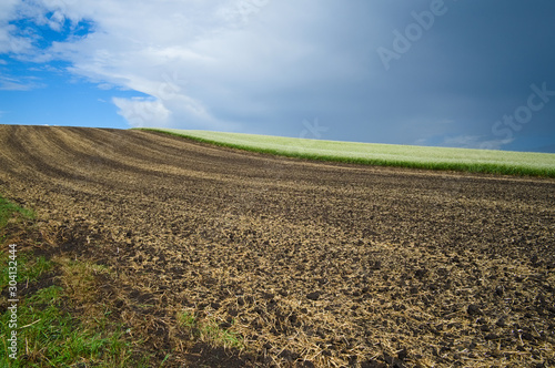 Agriculture field view and cloudy blue sky divided with horizon line. Abstract nature landscape. Ukraine.