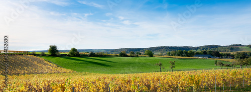 autumn viniyards and rural landscape in dutch province of south limburg on sunny day
