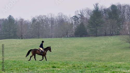 Equestrian in open meadow in early spring