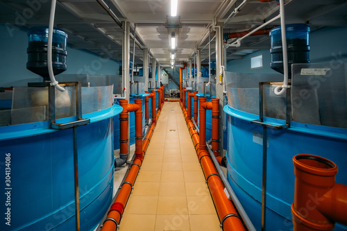 Canvas Print Round tanks for growing sturgeons with automatic feeder in fish farm with closed
