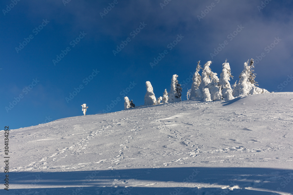 wind and weather shaped abstract snow sculptures attached to trees at Mount Lusen
