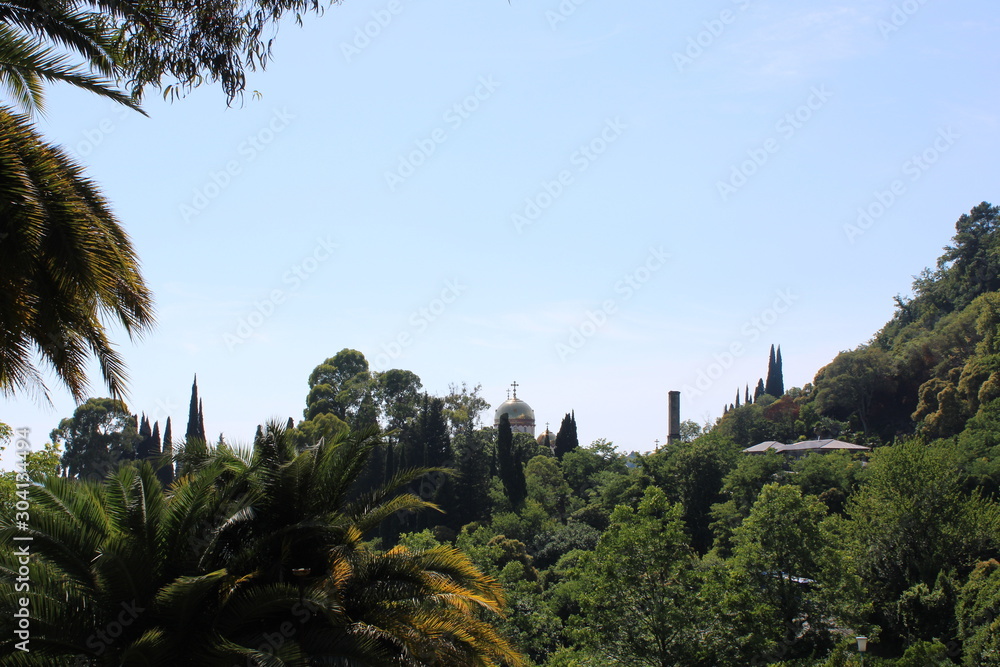 Fototapeta premium landscape with palm trees and blue sky
