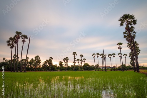 Wallpaper Mural landscape with blue sky and clouds Torontodigital.ca