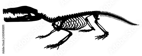 silhouette  skeleton of a crocodile vector