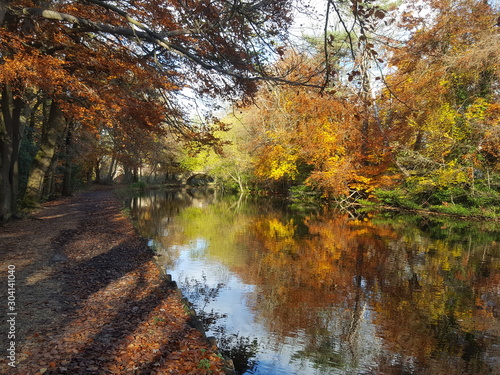 Canal Travel - Autumn Waterway 
