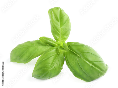 Fresh green basil leaves isolated on white