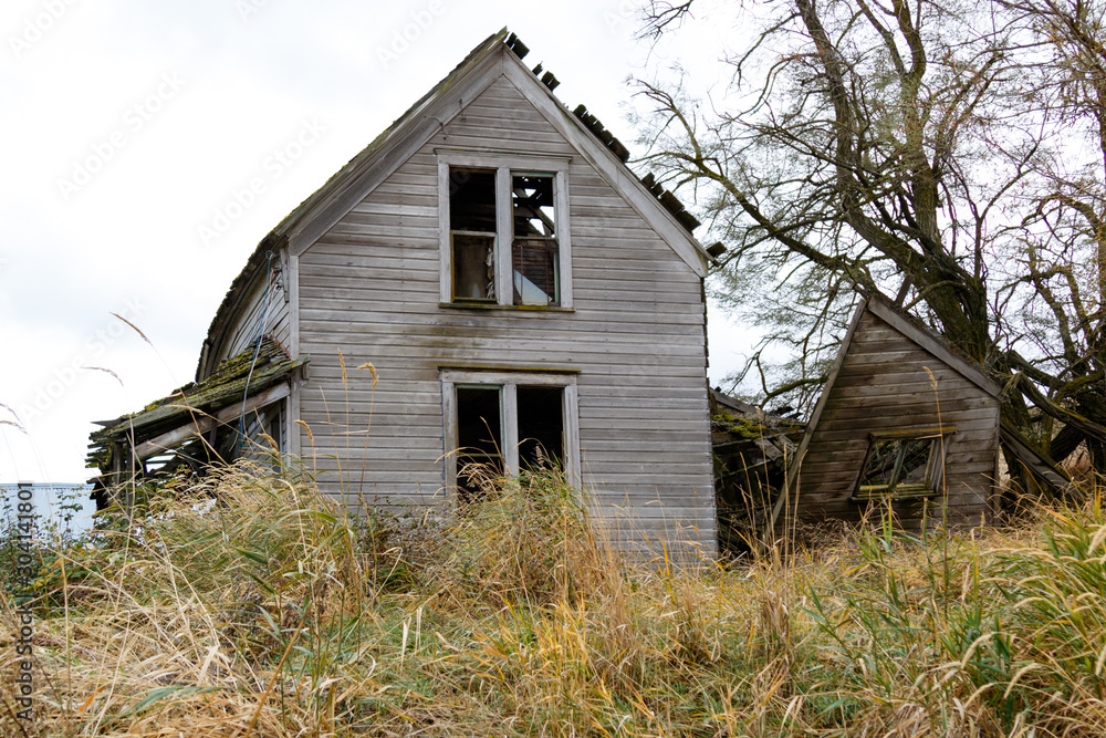 Old, abandoned farm house with overgrowth Old, abandoned farm house with overgrowth