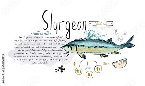 Fish hand drawn set watercolor ink, food vitamin menu restaurant, sketch cartoon vector illustration