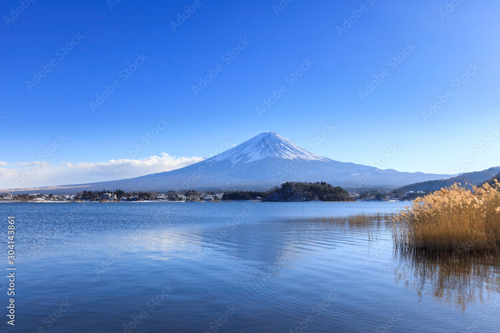 Fuji mountain with swimming duck in the lake with blue sky background