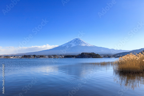 Fuji mountain with swimming duck in the lake with blue sky background