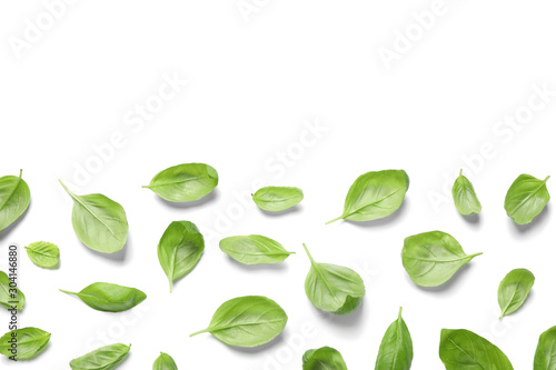 Fresh green basil leaves on white background, top view