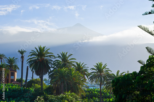 Volcano of Tenerife - view from with forest