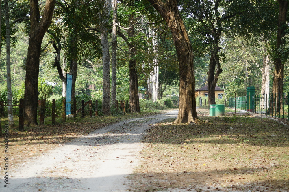 alley in the park alley in the park