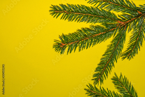 Green lush fir branch Christmas tree on yellow background. Happy New year and Merry Christmas concept. Copyspace for text.