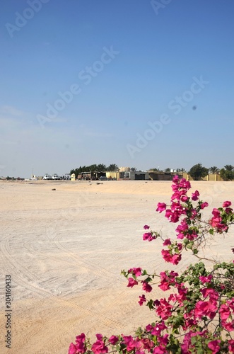 Camp bédouin Badawya ( Hurghada -Égypte) photo