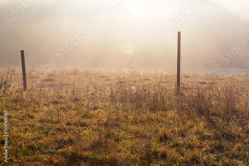 Rural, morning, Sunny landscape with fog, meadow and barbed wire fence.