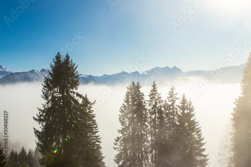 above the fog in Lungern with the swiss Alsp